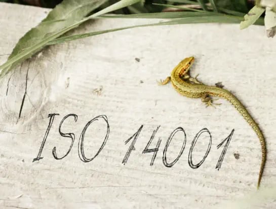 Photo stock of a wooden plank with ISO 14001 written on it 