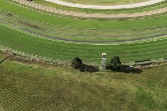Aerial view of a portion of horse racing natural turf track