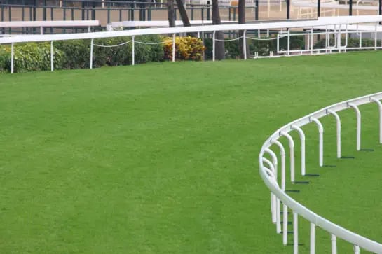 Natural turf horse race course with white ramps
