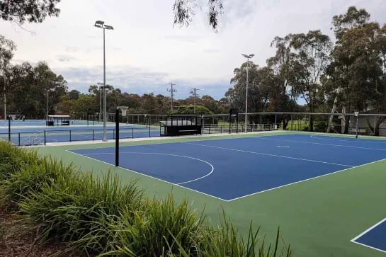 Panoramic view of an outdoor netball court with blue and green surface surrounded by plants and trees