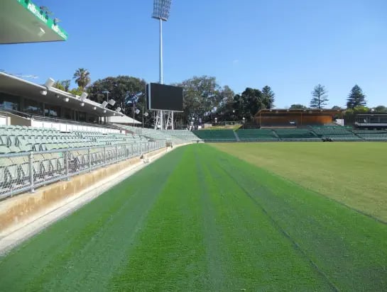 Natural turf rugby field within an outdoor stadium