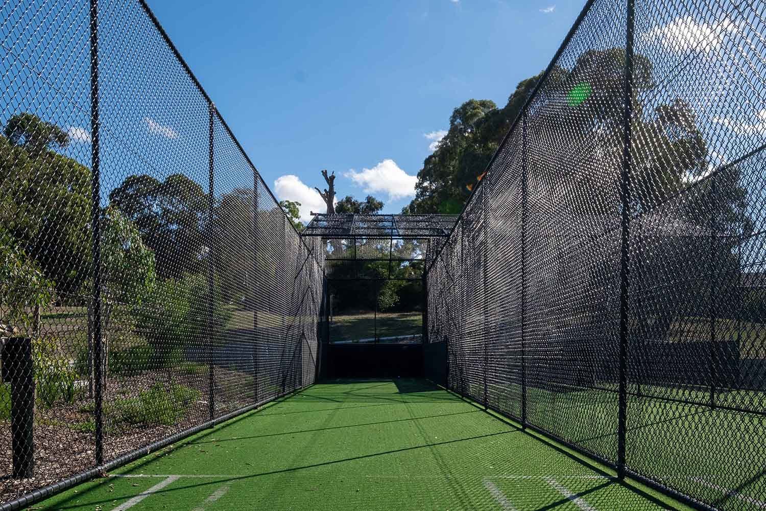 Cricket enclosures with synthetic grass