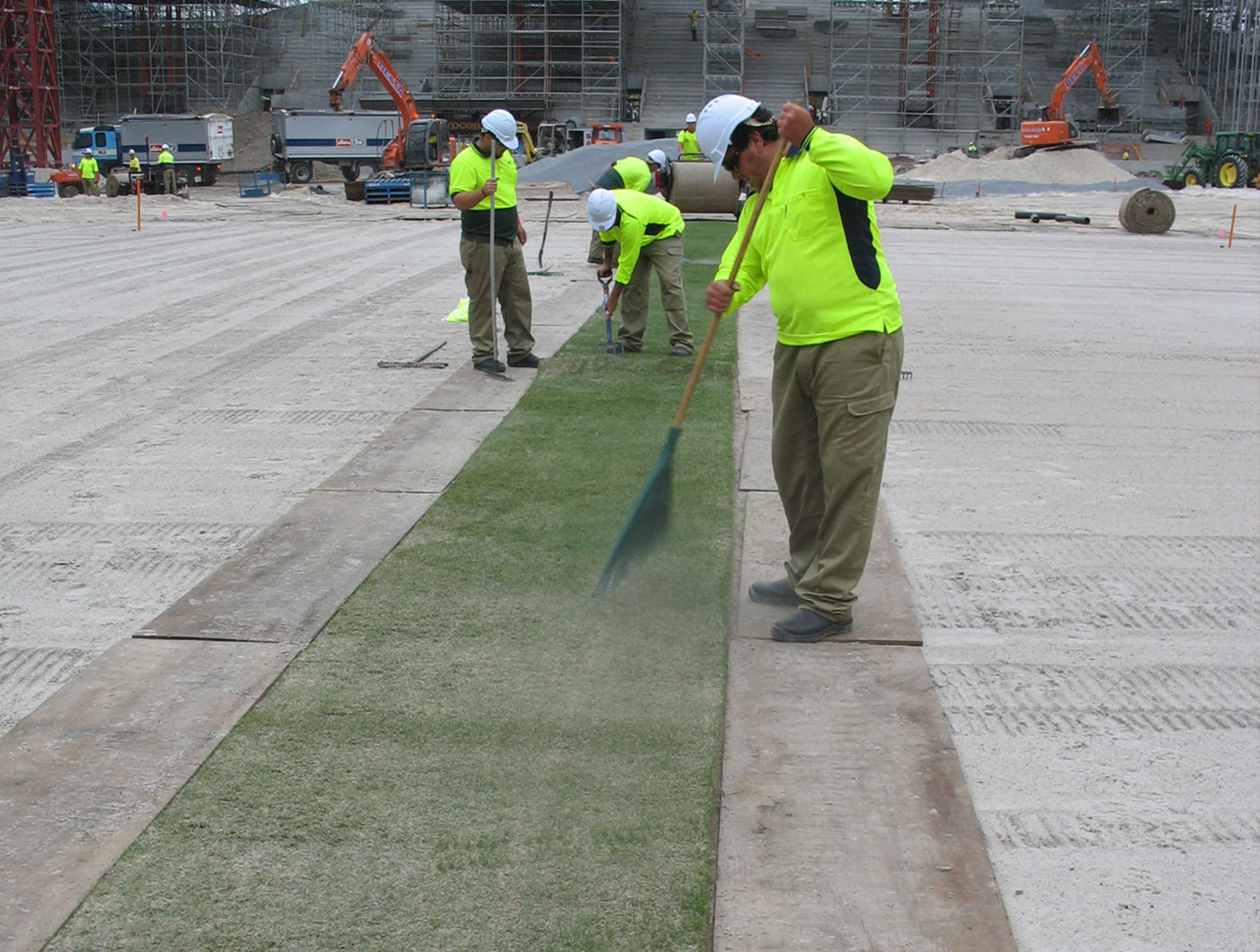 Workers maintening a line of natural turf just being installed on a sport stadium surface